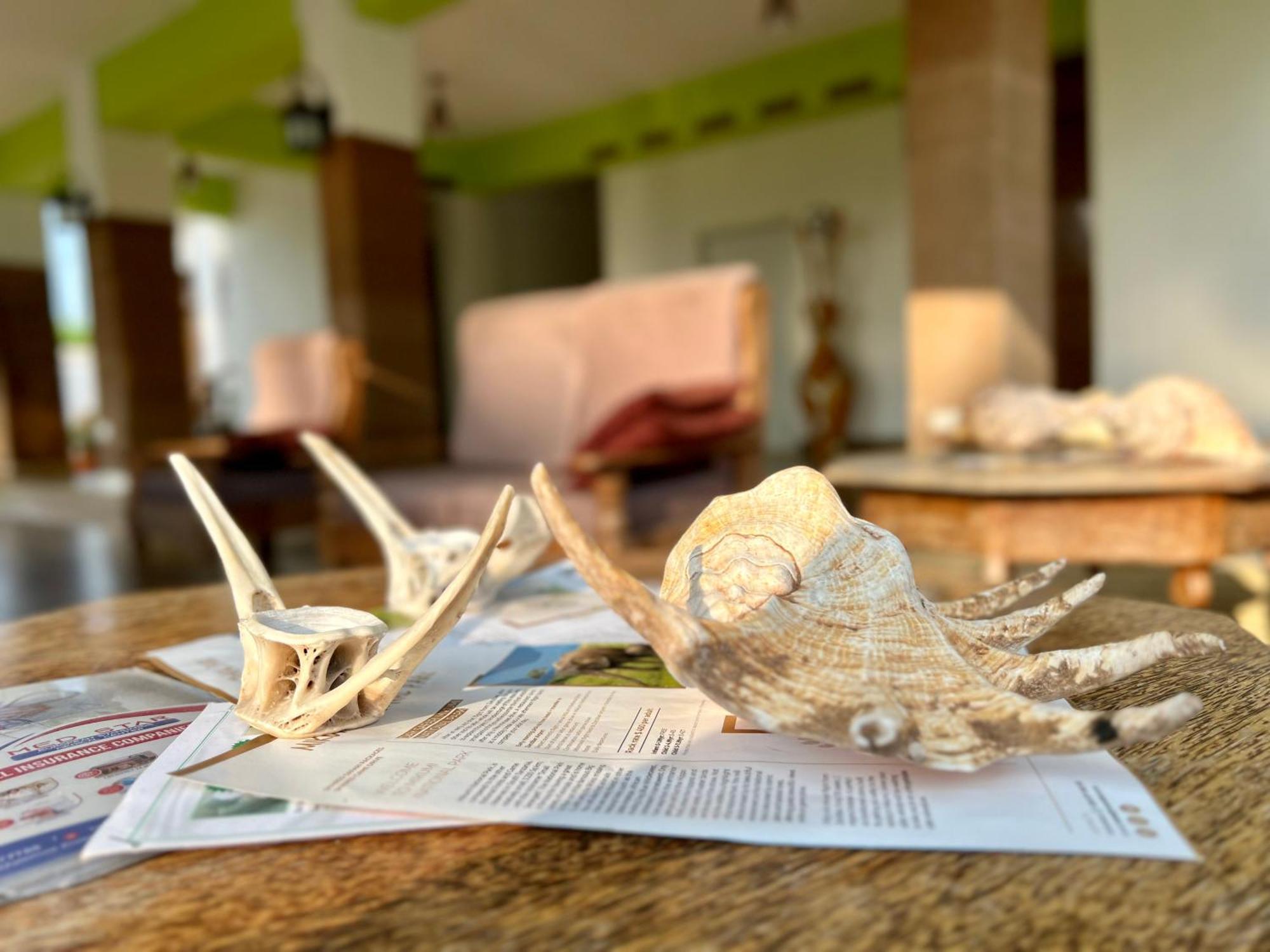 מאטמווה Zanoceanique Hotel מראה חיצוני תמונה
